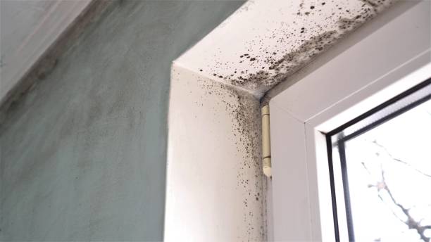 Water Damage Restoration in Greene, RI