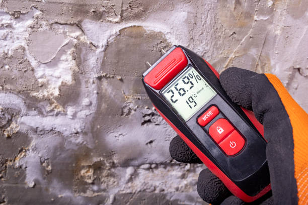 Professional Mold Removal in Greene, RI