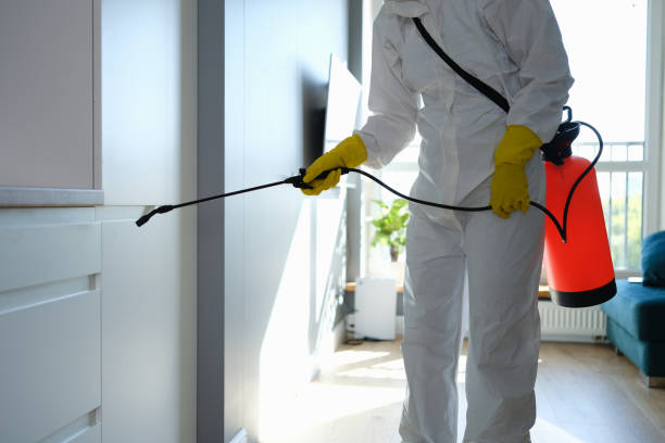Certified Mold Removal in Greene, RI