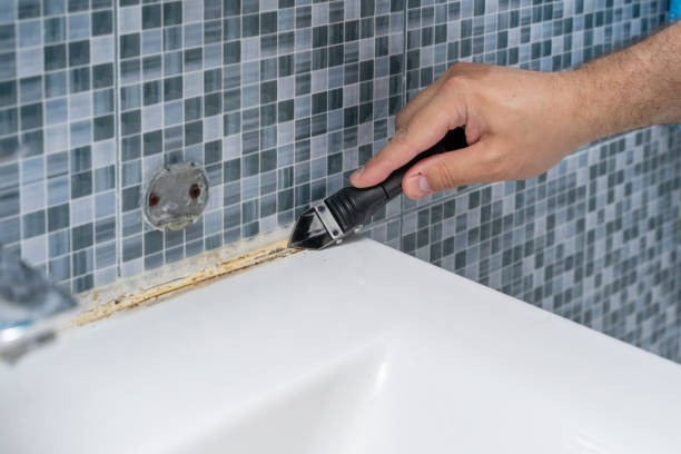 Best Mold Damage Repair  in Greene, RI