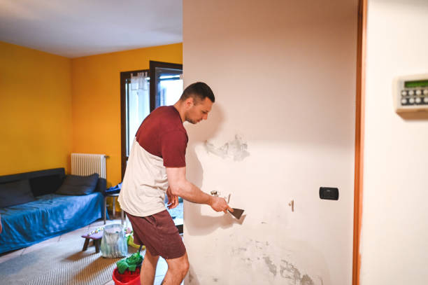 Best Office Mold Removal Services  in Greene, RI